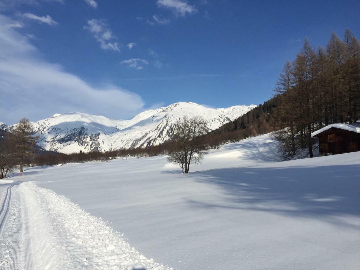 6 Dorfstrasse Lägenhet Oberwald Exteriör bild