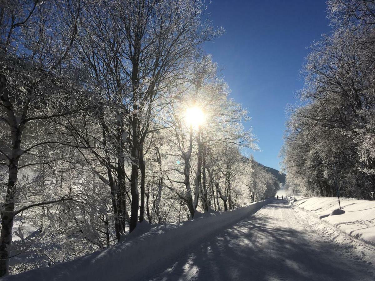 6 Dorfstrasse Lägenhet Oberwald Exteriör bild